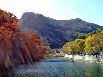 天天彩好彩天天免费，天狮空气净化器